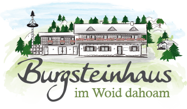 Burgsteinhaus – Videoüberwachung und LTE-Industrierouterinstallation mit VPN-Netzwerk